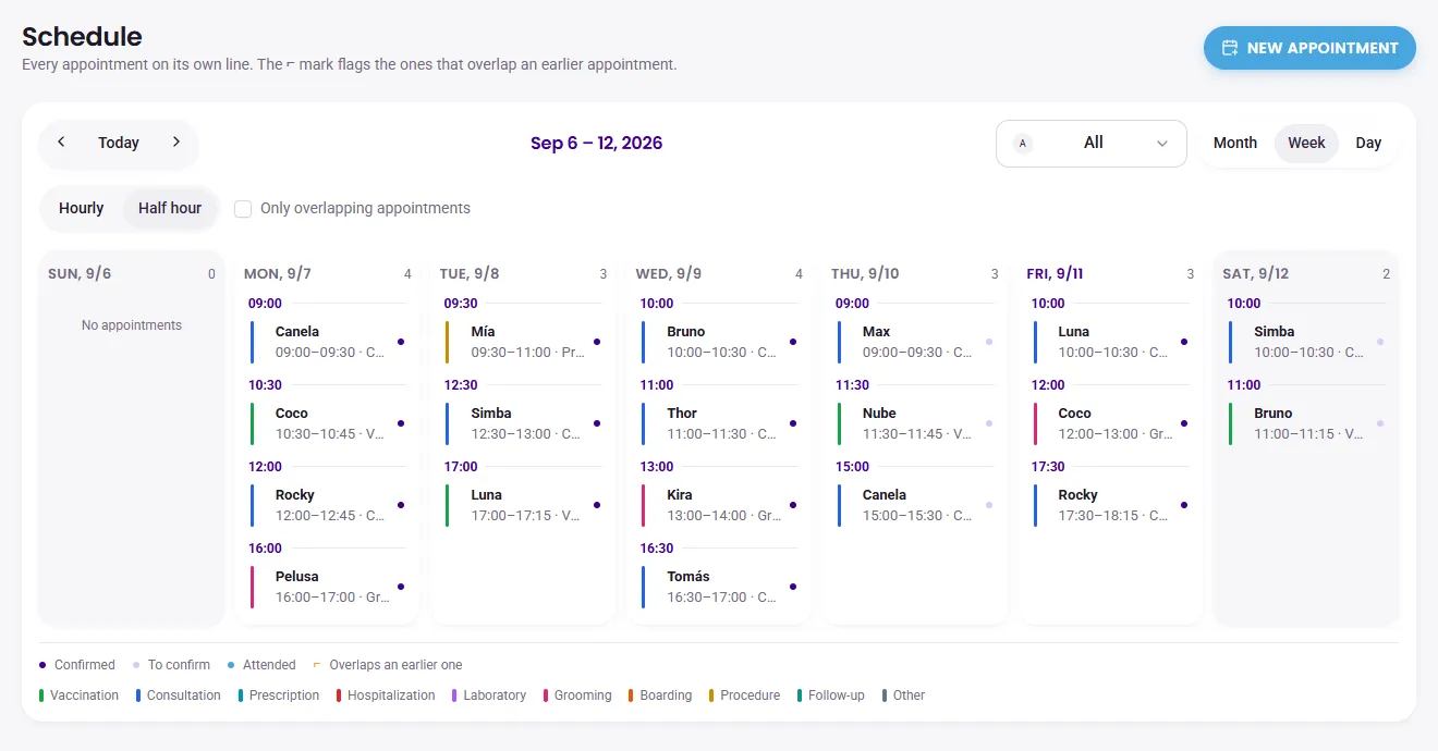 SAMI weekly schedule with each doctor’s appointments