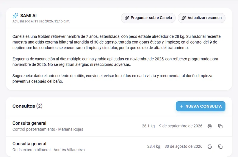 Análisis inteligente de historiales