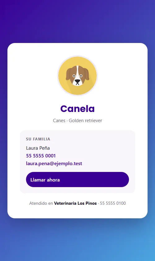 ¿Qué pueden hacer los tutores con la app?